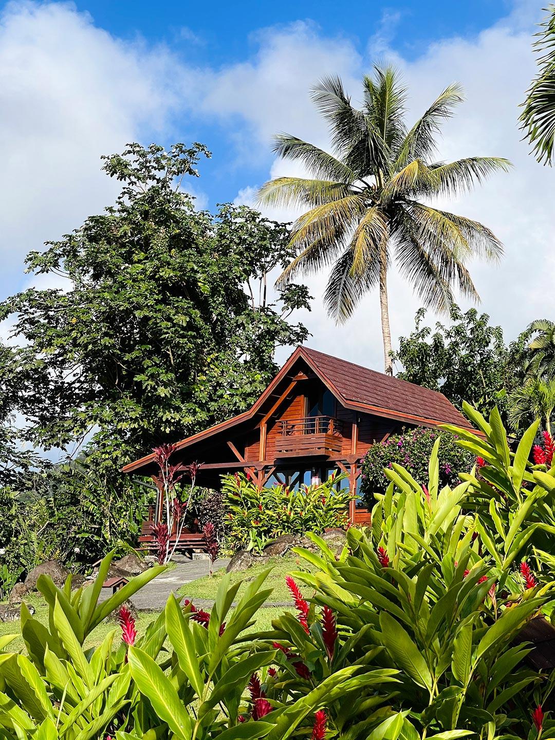 Отель Jardin Malanga Бас-Тер Экстерьер фото